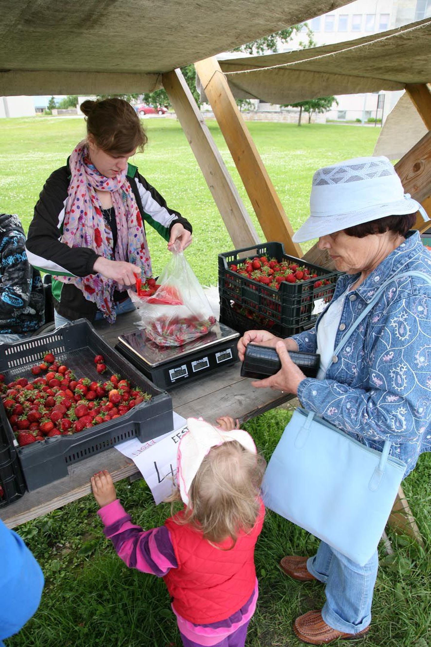 Liina (pildil vasakul) on tulnud Paidesse maasikaid müüma Viljandist, kus konkurents müüjate vahel on suur.