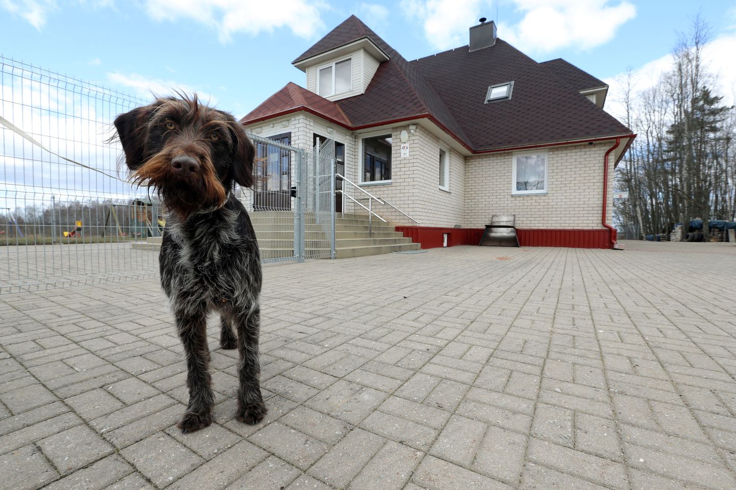 Kullerkupu lasteaed Külitsel on sellest esmaspäevast suletud. Tühjal õuel jalutas eile lasteaiaomaniku koer Rena.