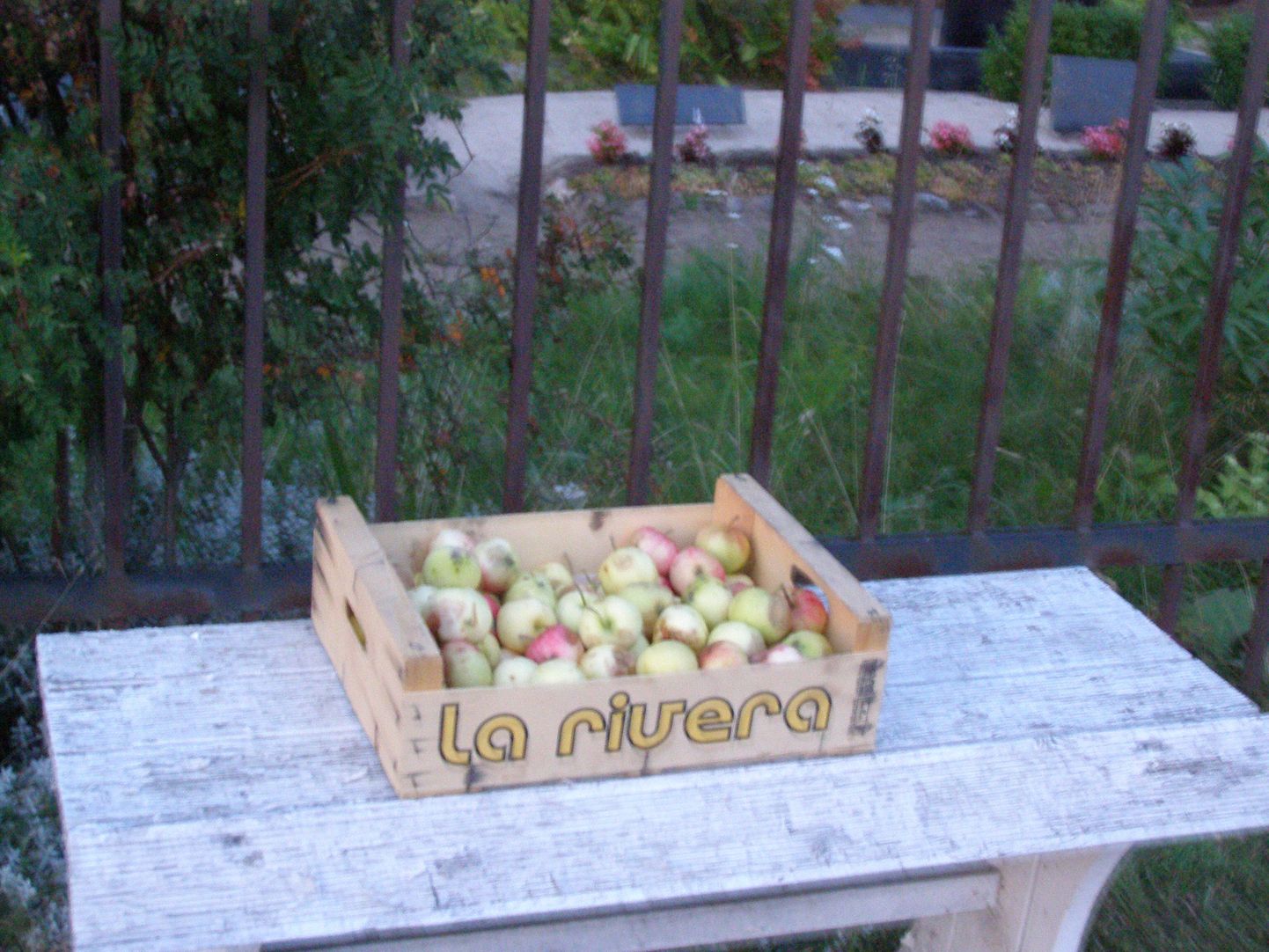 Kast õuntega Tapa linnakalmistu värava juures.