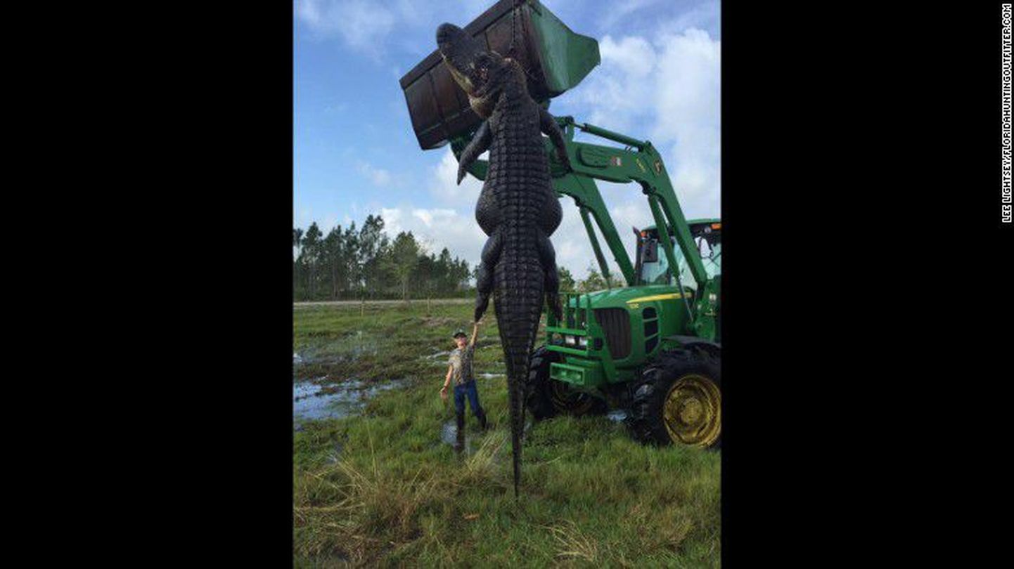 Alligaatorijahil osalenud 9-aastane Mason Lightsey oli rõõmsalt nõus traktoriga täispikkuses ülestõstetud monstrum-alligaatori kõrval poseerima.