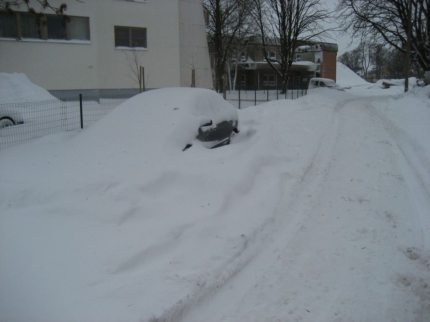 Lumetormijärgne olukord Kastani tänaval talvel 2010.