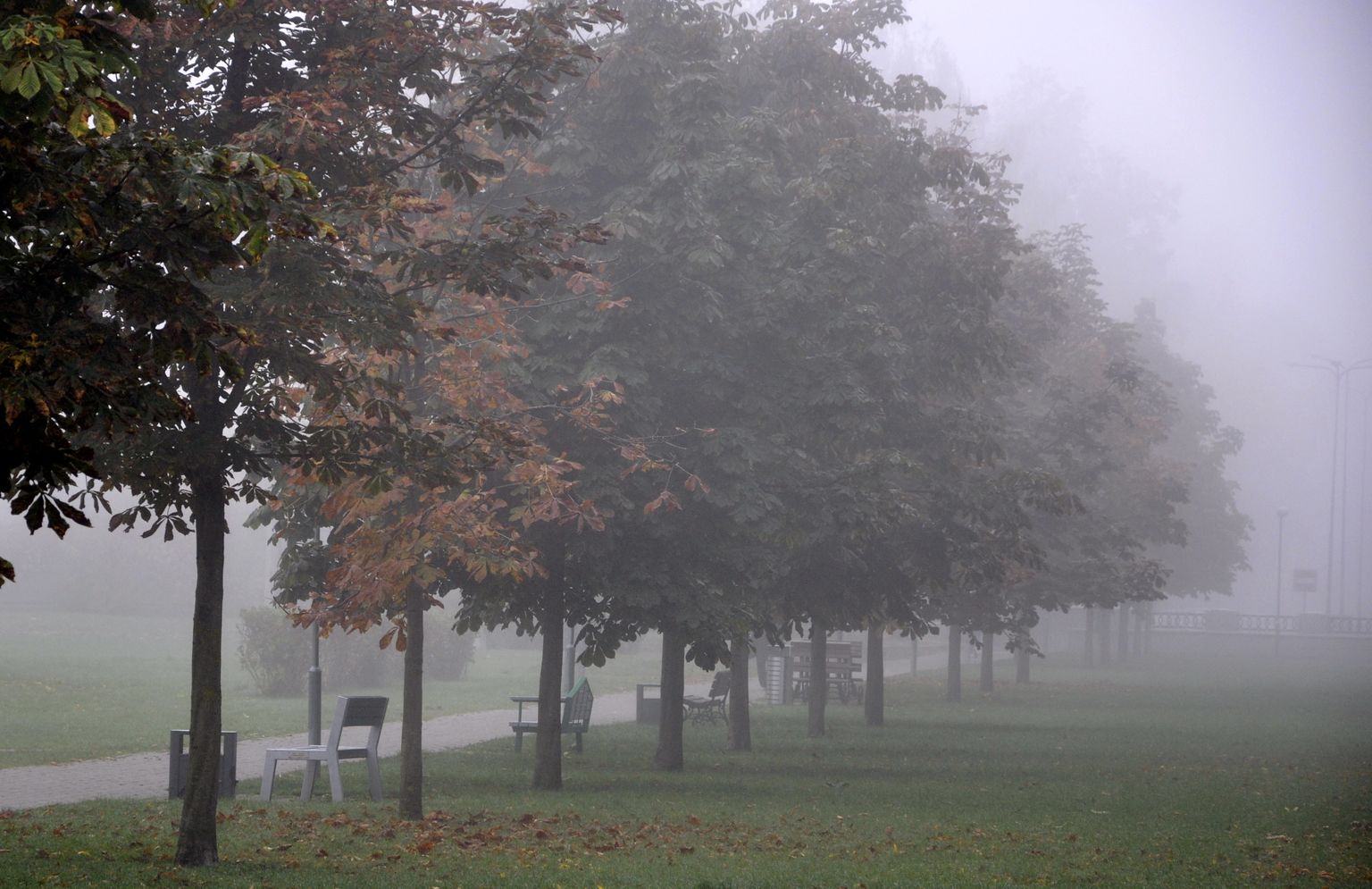 Rudens Daugavpilī