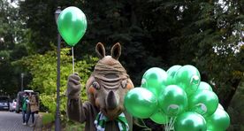 Исследование: Центристская партия уверенно выиграет местные выборы