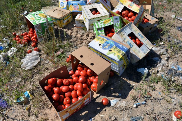 Konfiskeeritud tomatid nukralt hävitamist ootamas. RIA Novosti/Scanpix
