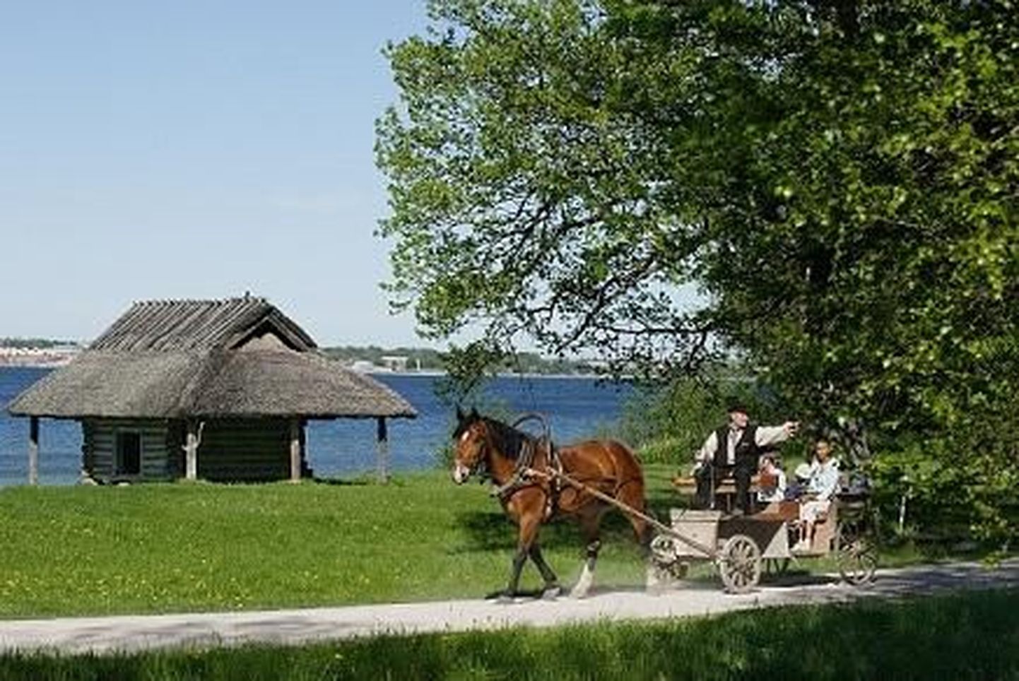 Soome lahe päev Eesti Vabaõhumuuseumis