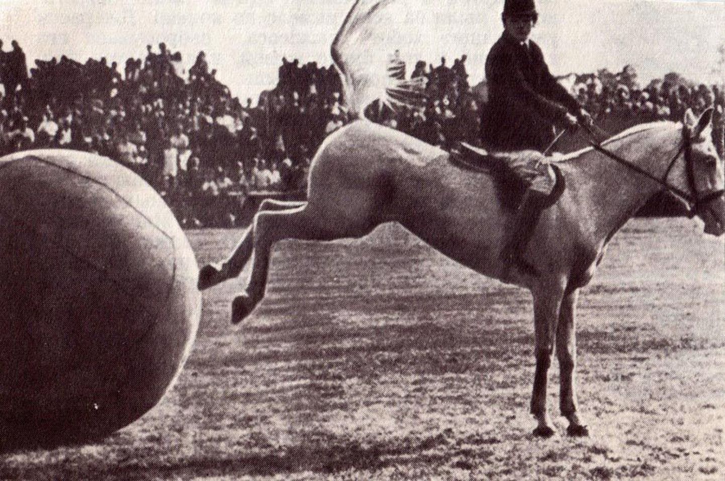 Mängude kulminatsioon, hobusega üle palli hüppamine on alati publiku meeli köitnud.