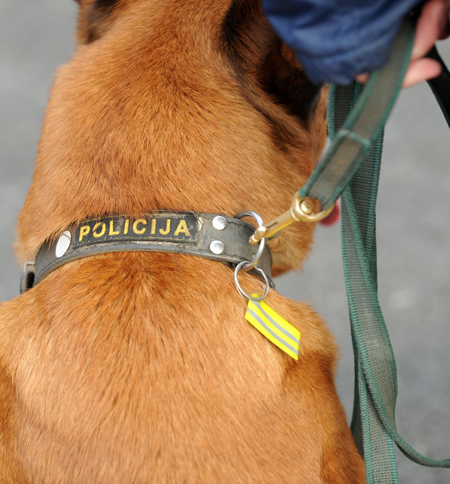 Policijas suns.