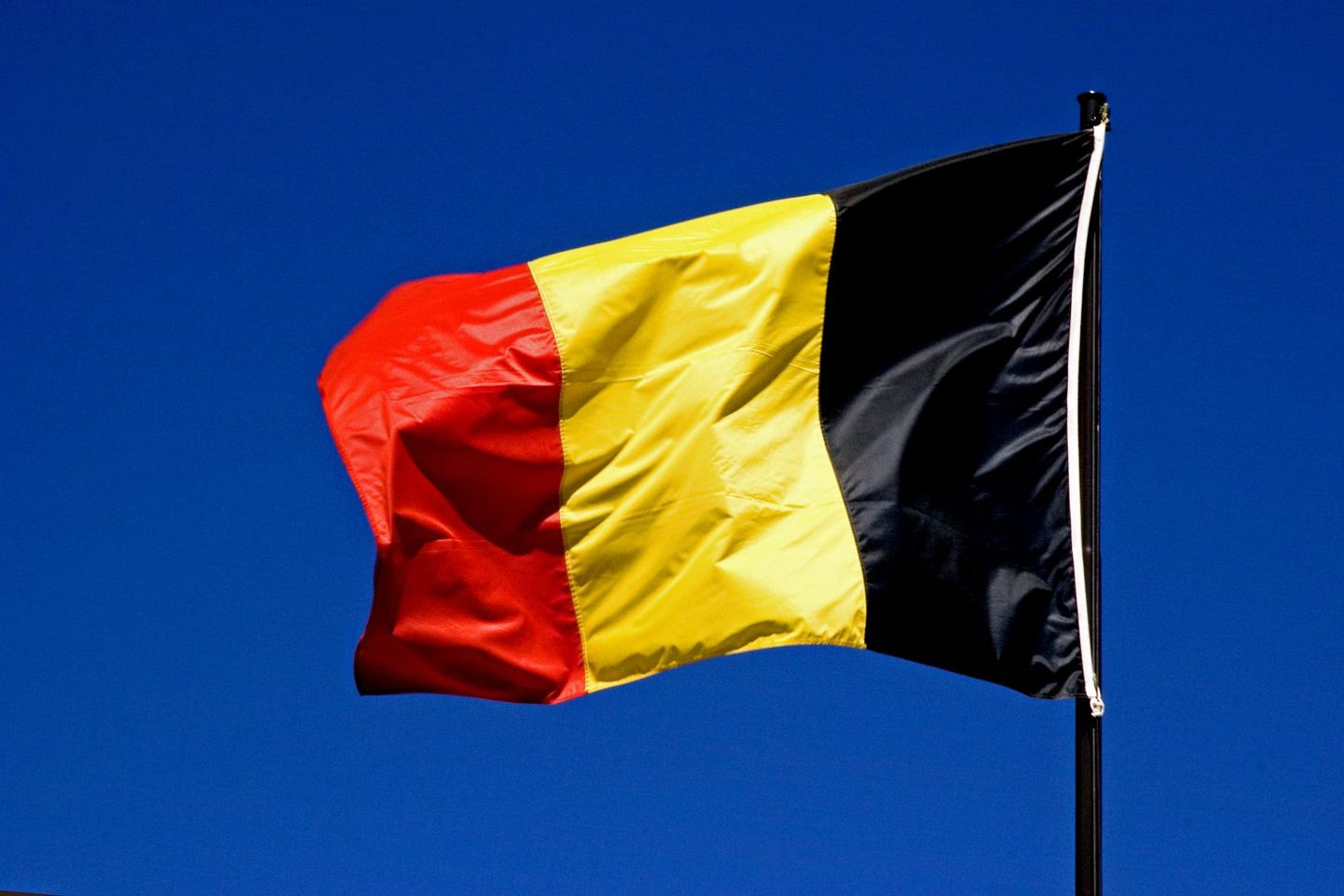Belgia lipp