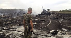 Lithuanian, Estonian formins expect MH17 findings to open eyes of some colleagues