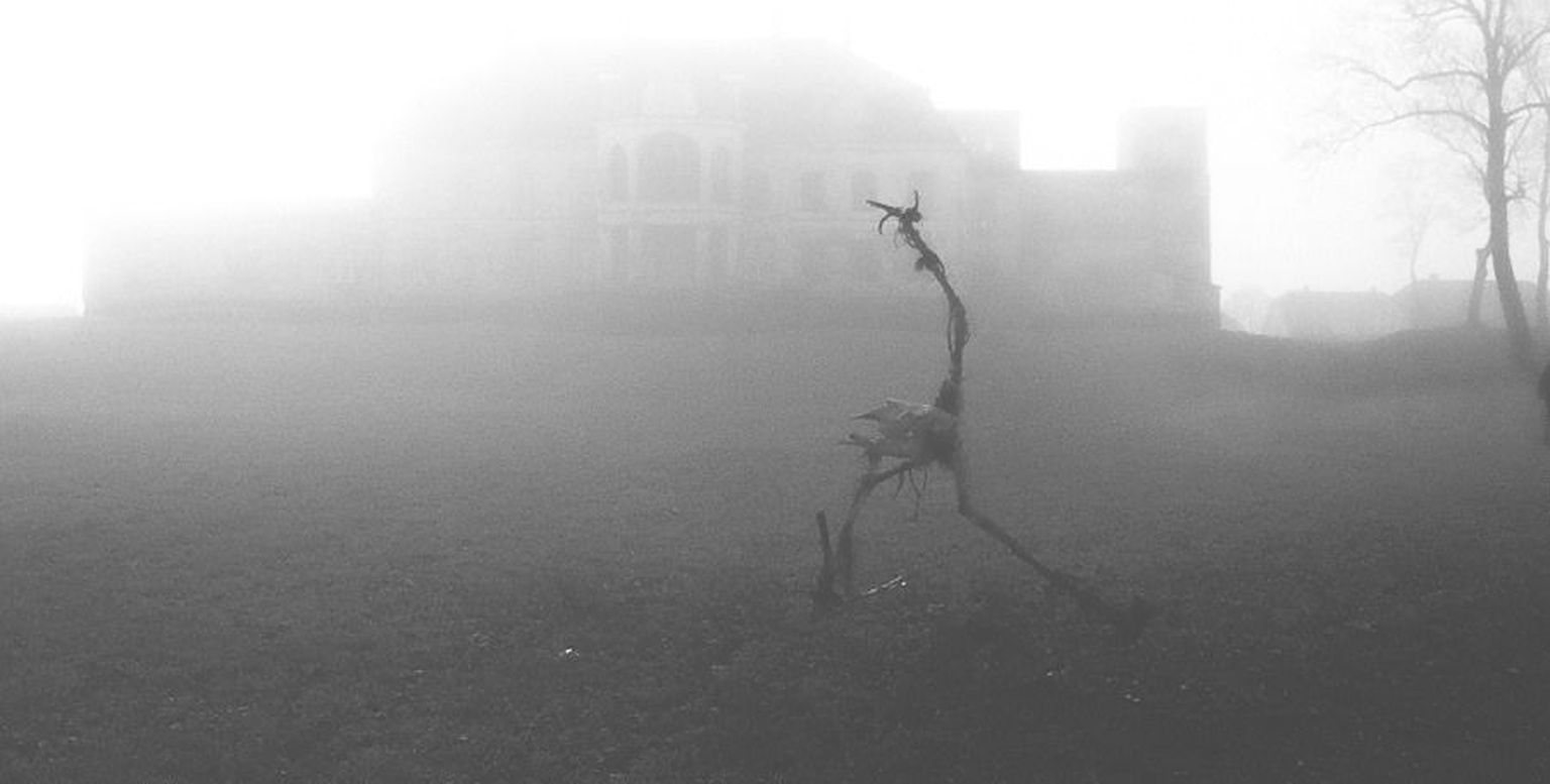 «November».