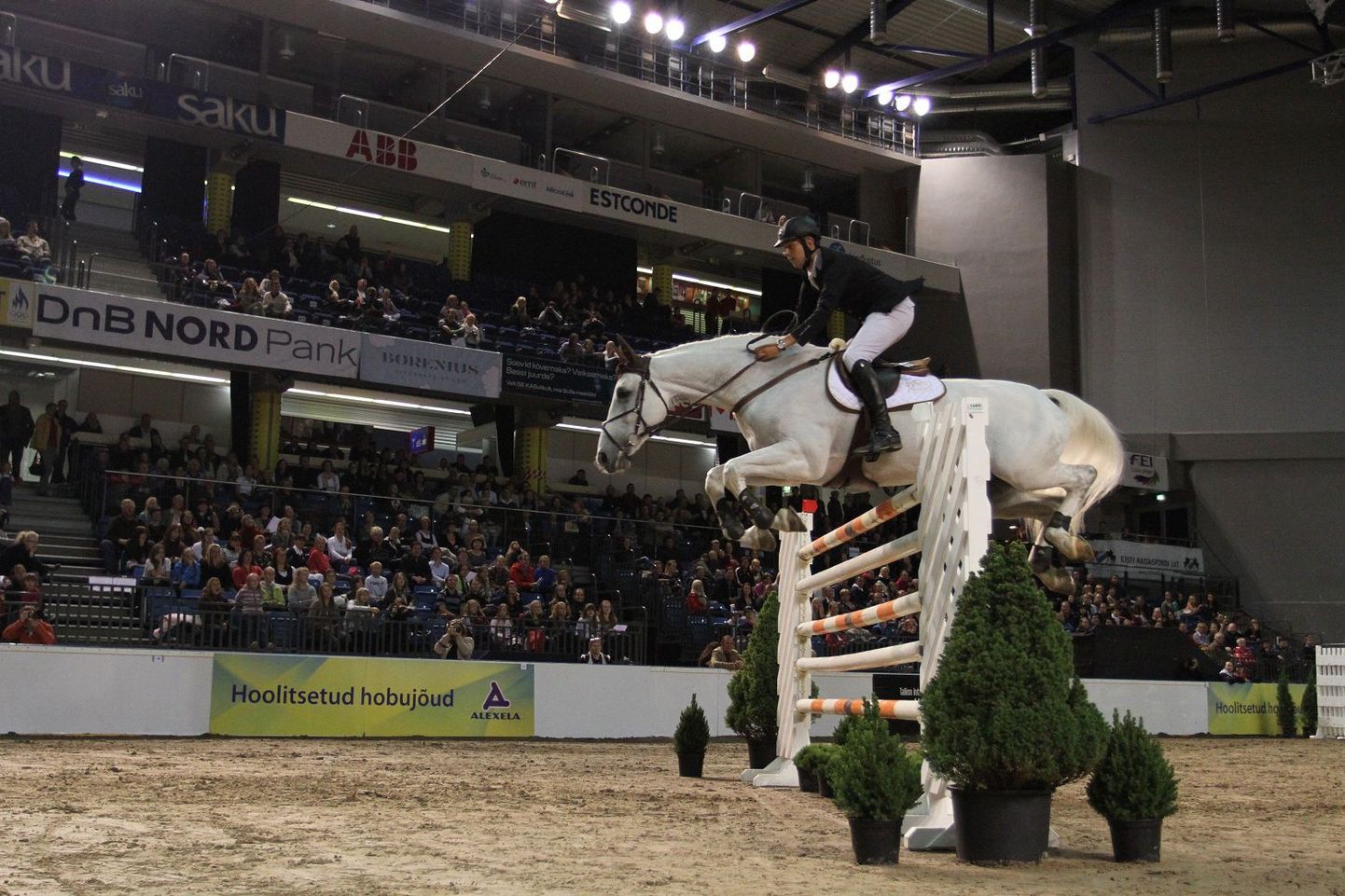 Tiit Kivisild ja Cinnamon mullusel Tallinn International Horse Show'l.