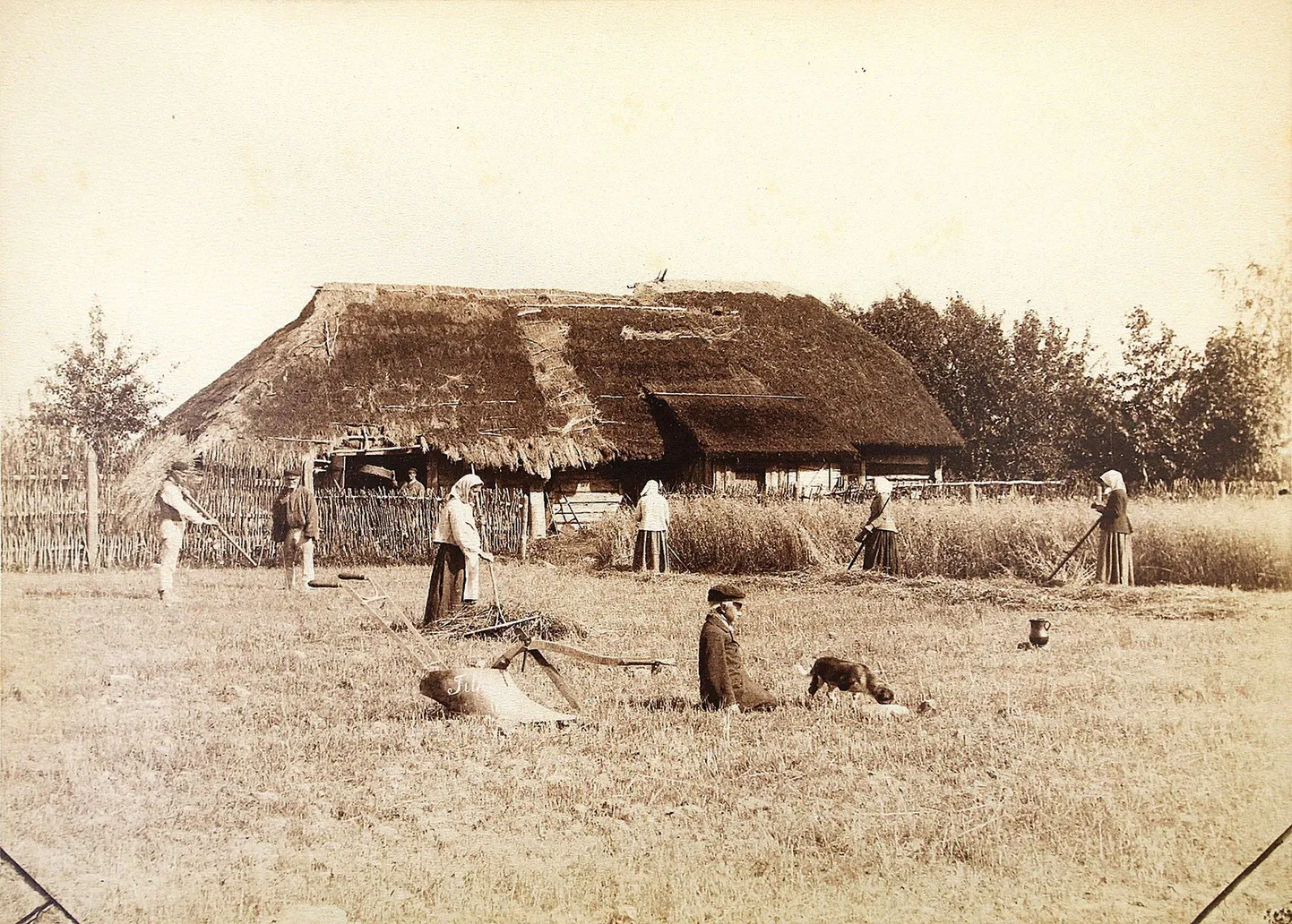 Tori kihelkonnast pärit Mihkel Tilk (1859–1890) on oma sünnikodus Kolmetarga talus lavastanud fotokompositsiooniks viljalõikajad ning nende ette adra koos poisi, koera ja veekannuga.
