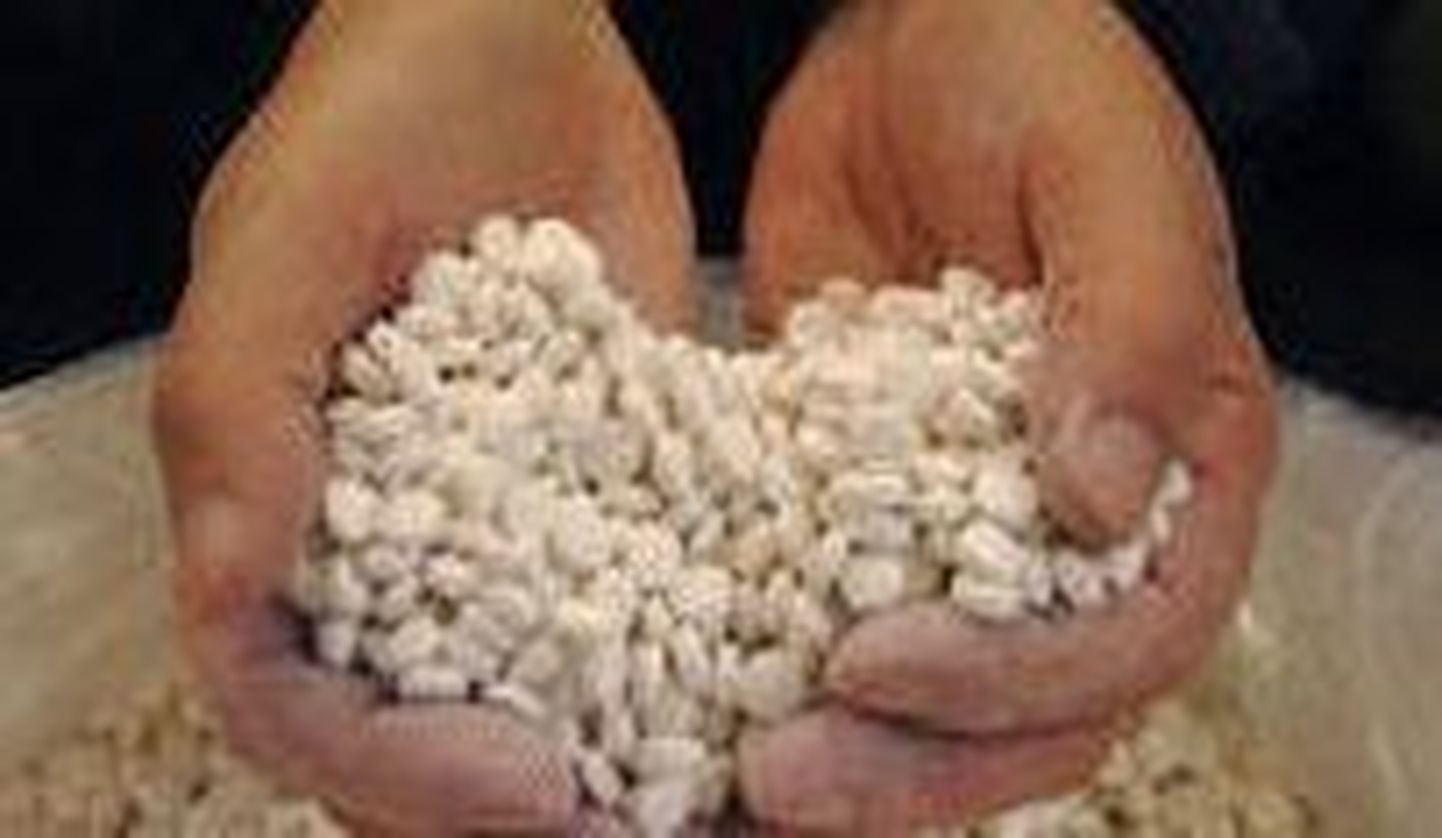 Ärimees pidas ecstasy tablette koerte tiinust ennetavaks ravimiks
