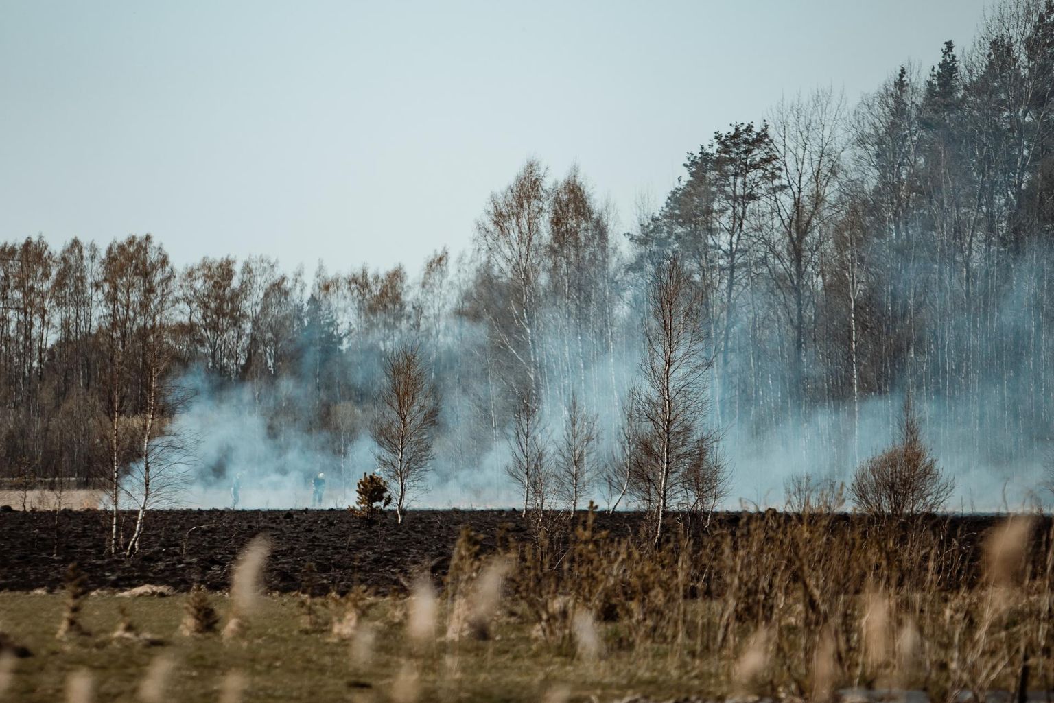 Libatses põles 300 ruutmeetril kulu.