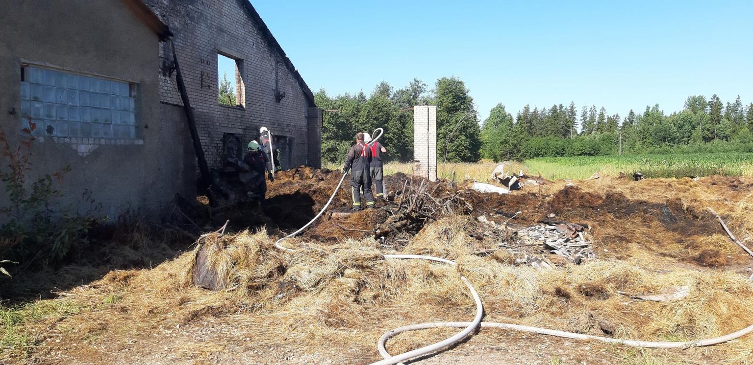 Kohapeal selgus, et laudas hoitud hein on uuesti põlema läinud.