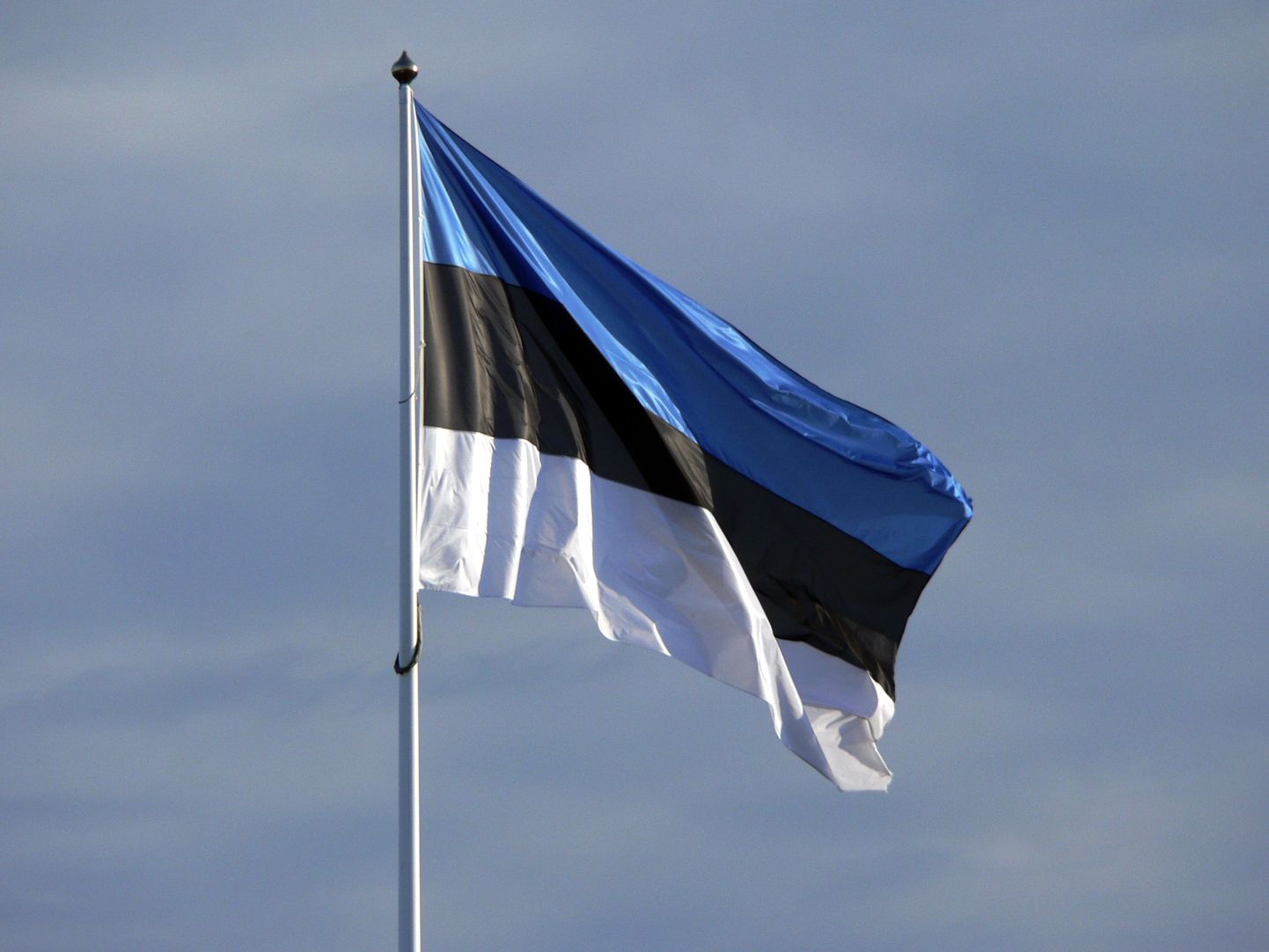 Eesti Vabariigi riigilipp.