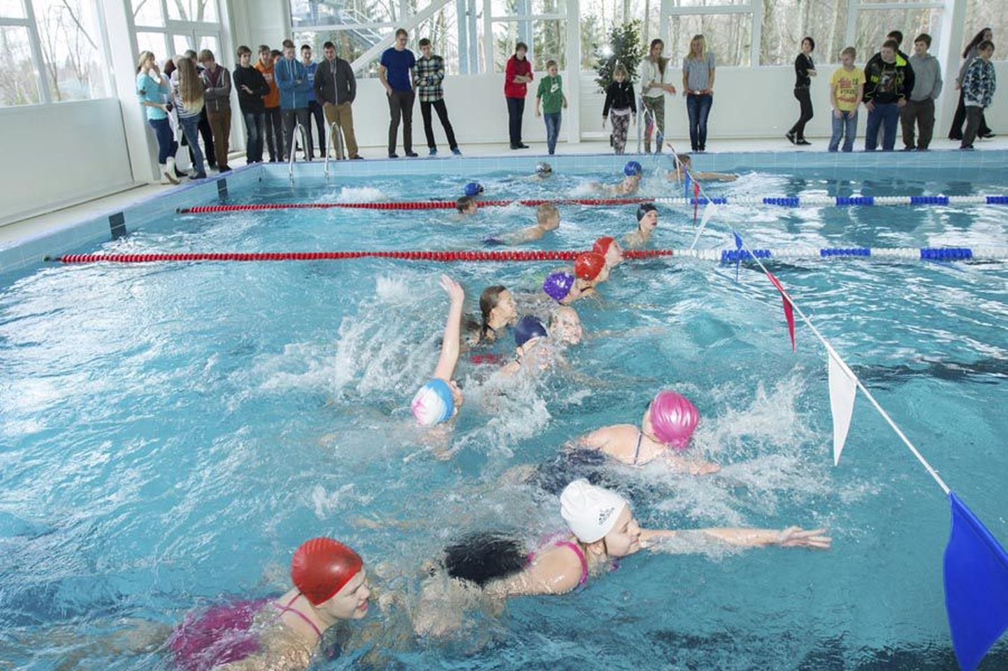 Valitsuse ülesandel on ujumisliit käesolevast aastast kooliujumise koordinaator, partner ujumisõpetajatele, koolidele ja kohalikele omavalitsustele.