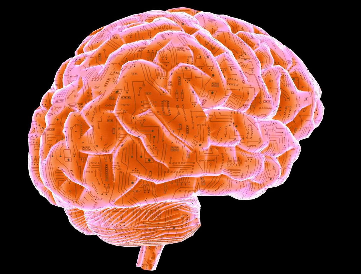 Мозг. Снимок иллюстративный