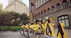 Romi Hasa: naljakad probleemid