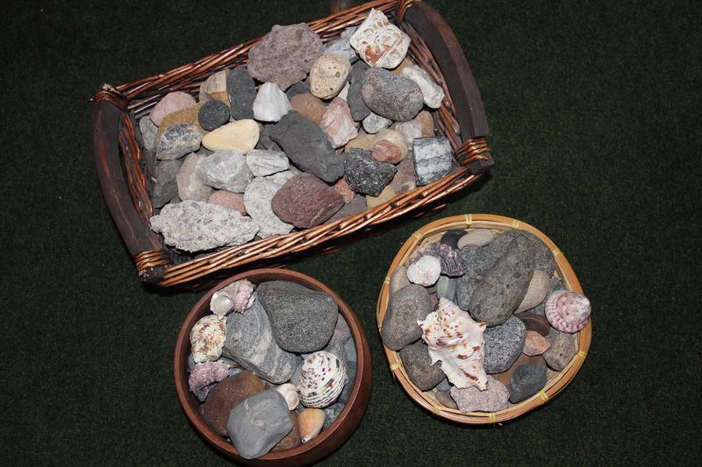Kui paljud inimesed koguvad marke, vanaraha või kleebiseid, siis Tapa muuseumi juhataja Tiina Paasi hobiks on hoopis kive koguda.