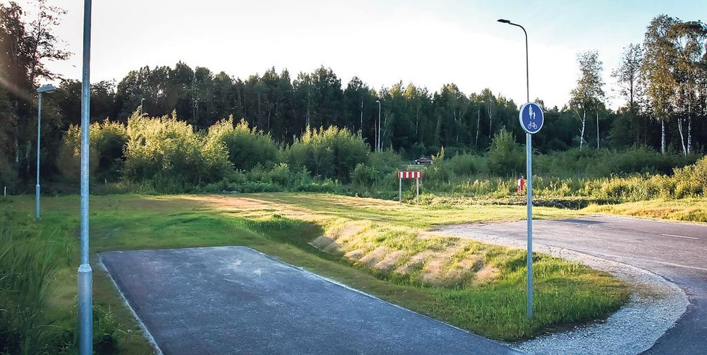Pärnu linn tahab tuleval aastal Loode-Pärnu tööstusküla teedevõrgustiku arendamist jätkata, investeerides teede ja tänavate ehitusse 2,1 miljonit eurot. Ettevõtmise ellu viimiseks küsitakse toetust piirkondliku konkurentsivõime tugevdamise programmist.