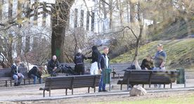 Pirogovi platsil algab esmaspäeval remont