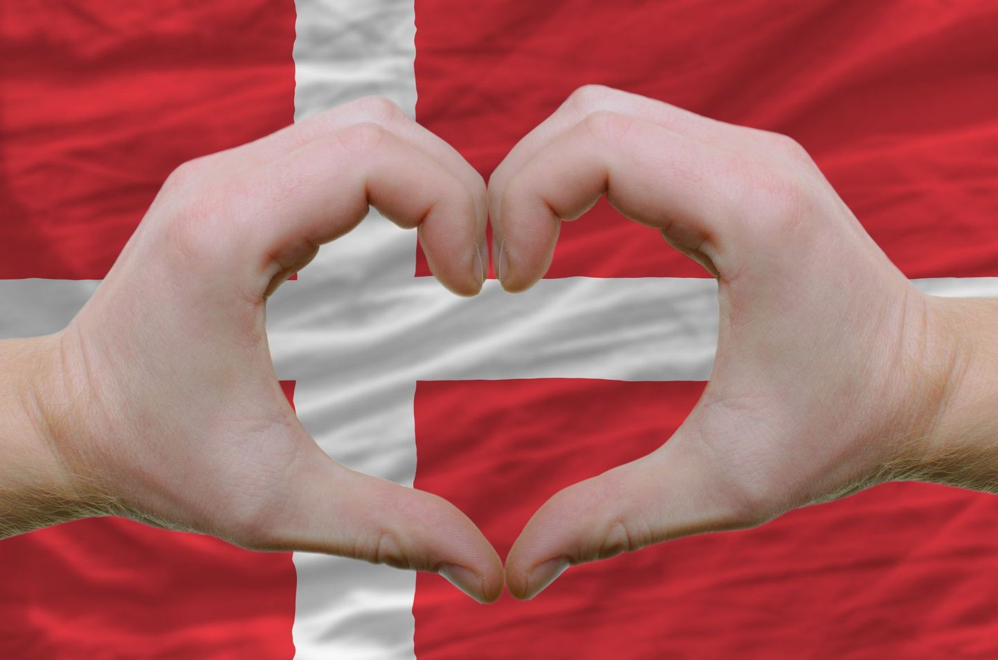 Süda Taani lipu taustal