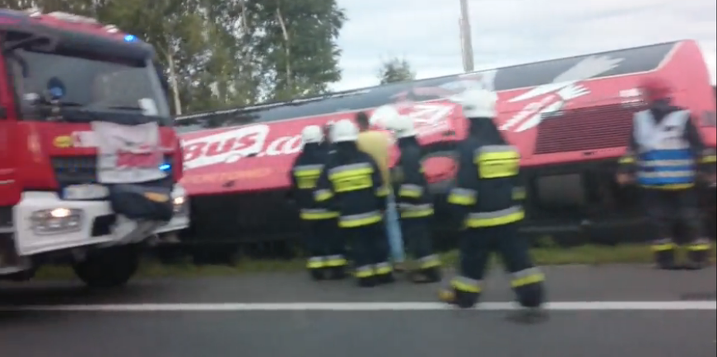 Polski Bus sõitis kraavi.