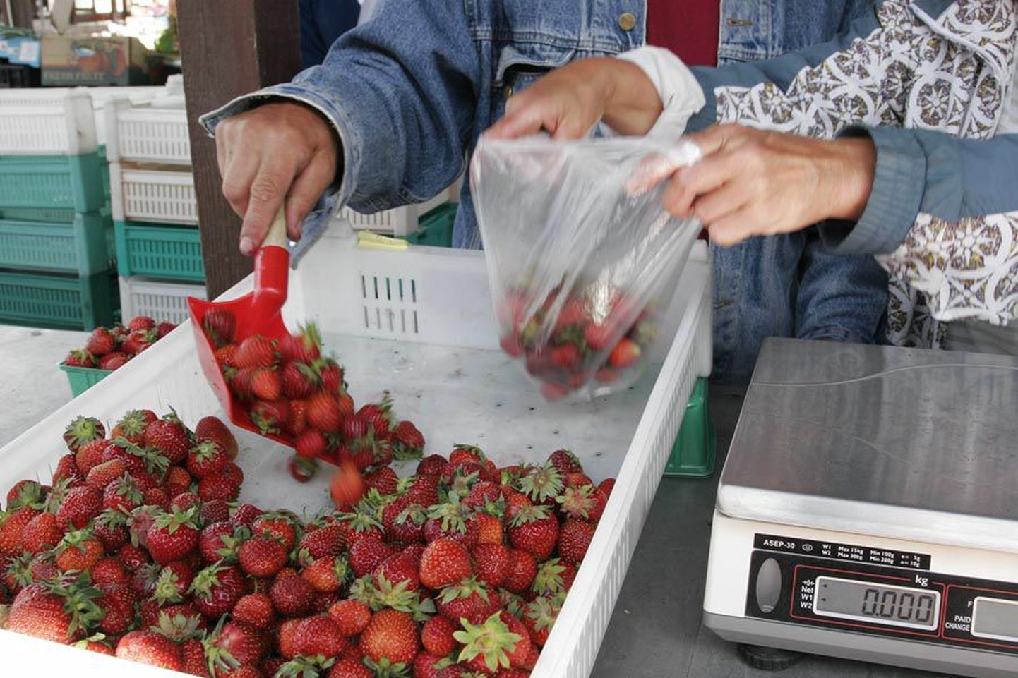 Maasikad maksavad Viljandi turul keskmiselt kolm eurot kilogramm. Eelmise aastaga võrreldes on hinnatase jäänud samaks.