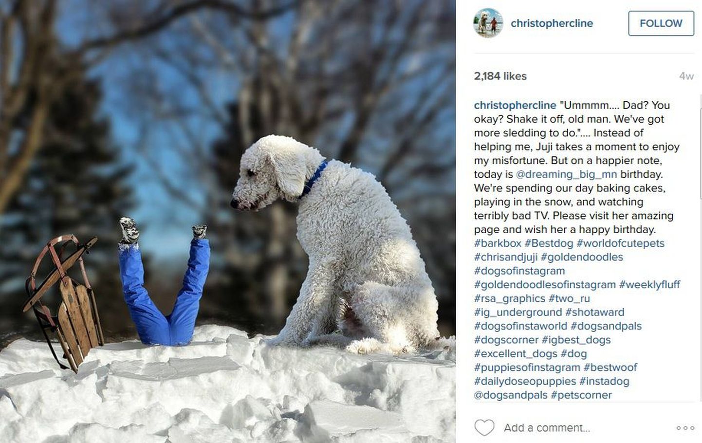 Fotograaf Chris Cline ja tema koer Juji.