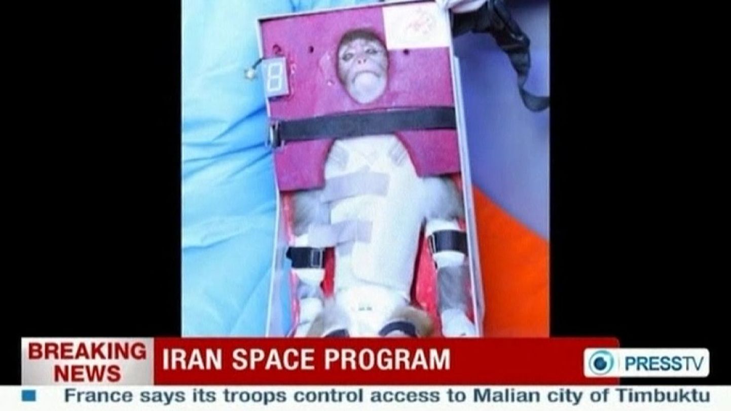 28. jaanuaril avaldas Iraani riiklik telekanal Press TV kaadri kosmosesse saadetavast ahvist.