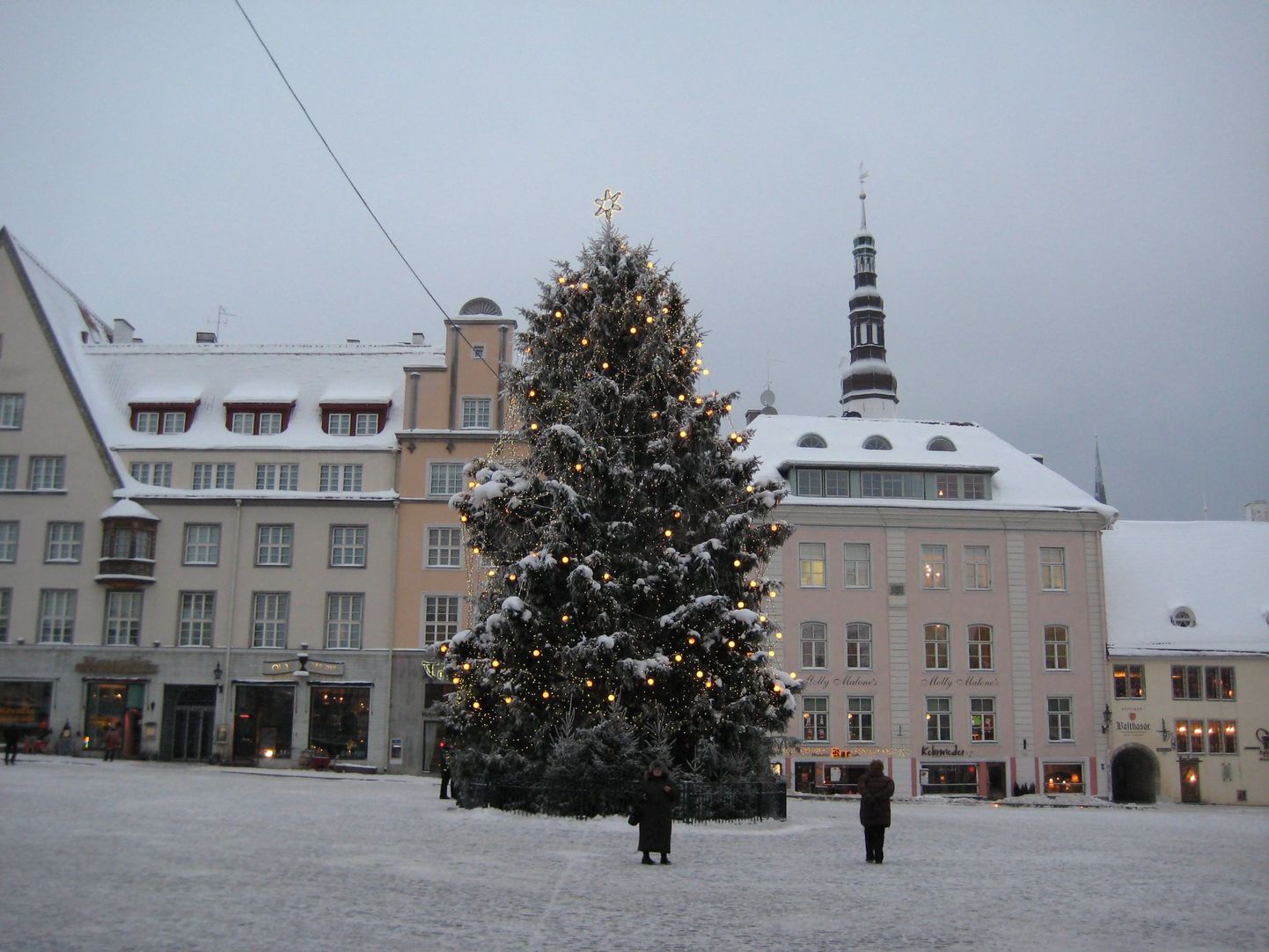 Raekoja platsi jõulupuu eelmisel aastal.