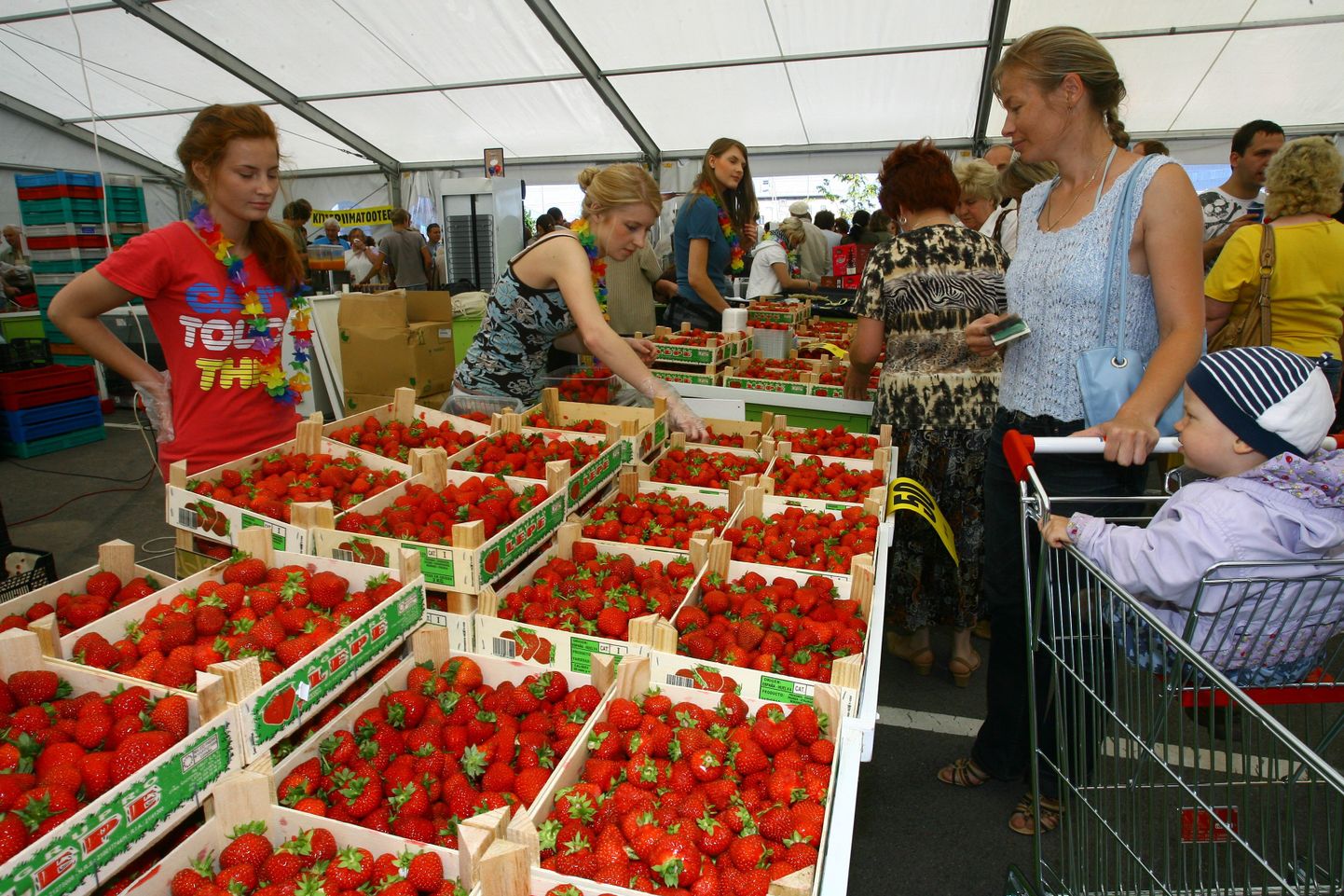 Maasikafestival ootab ostjaid sel nädalavahetusel.