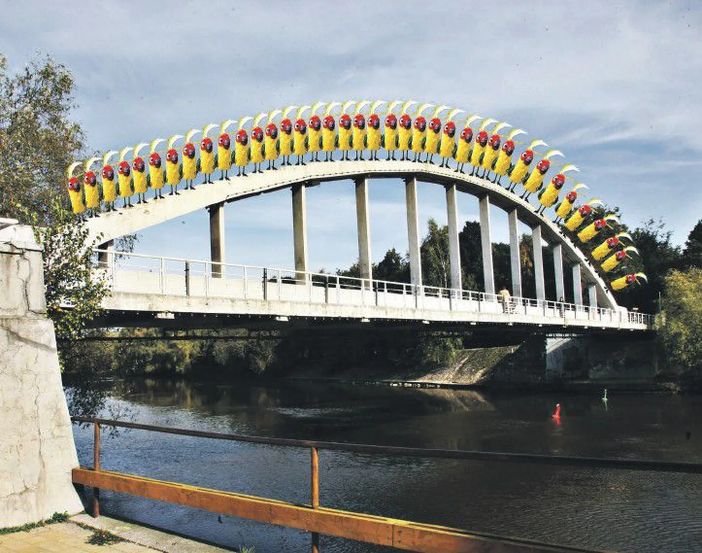 38 попугаев измеряют самый известный в Тарту мост.