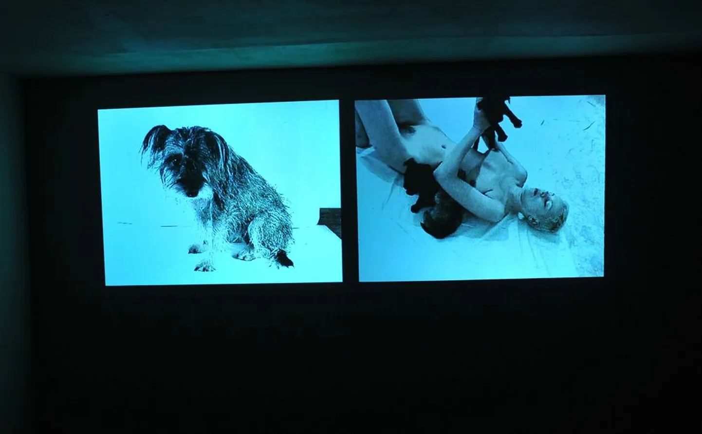 Ene-Liis Semper ja koer, video Semperi varasemast loomeperioodist.