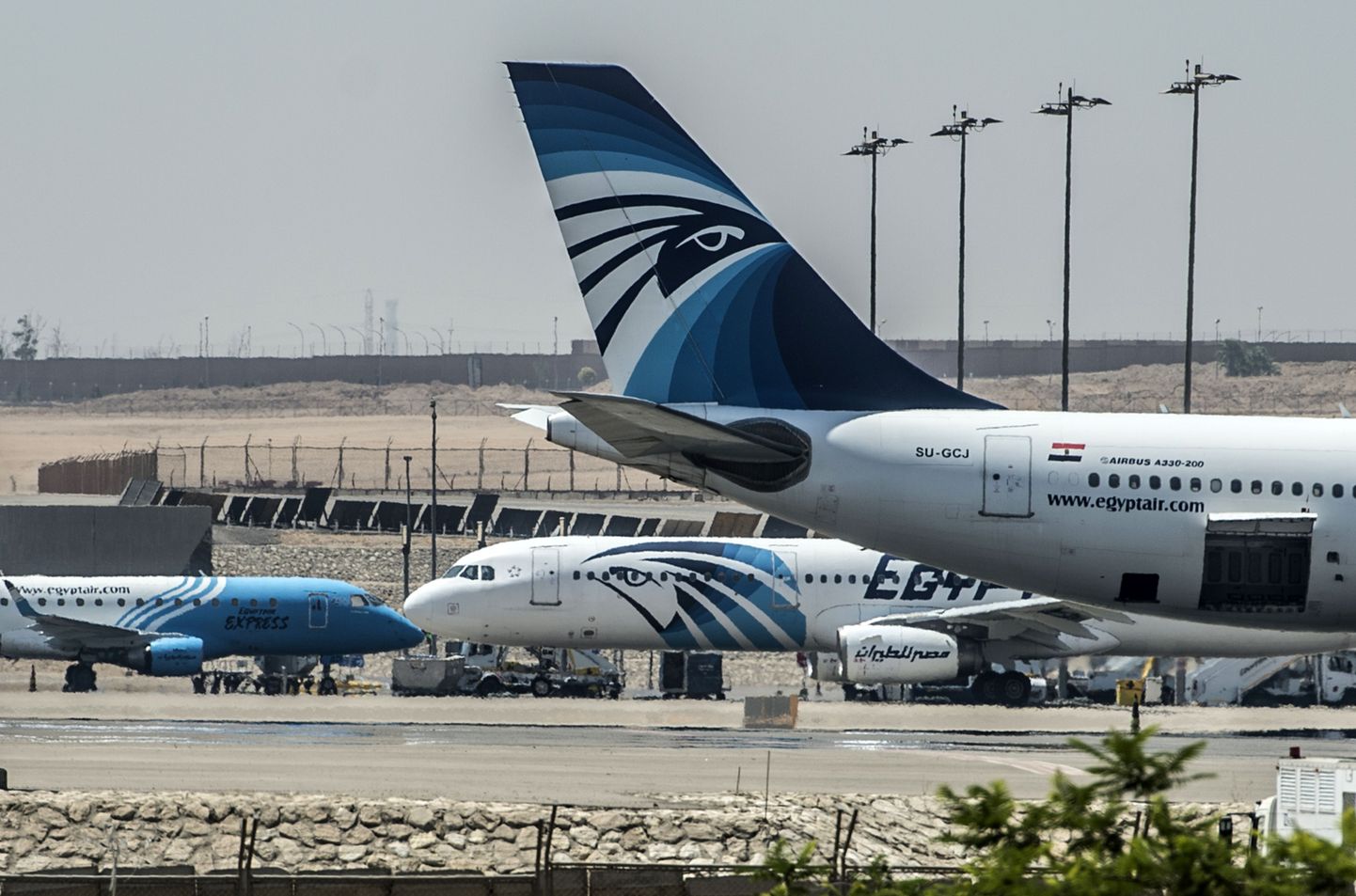 Самолёты EgyptAir. Иллюстративное фото.