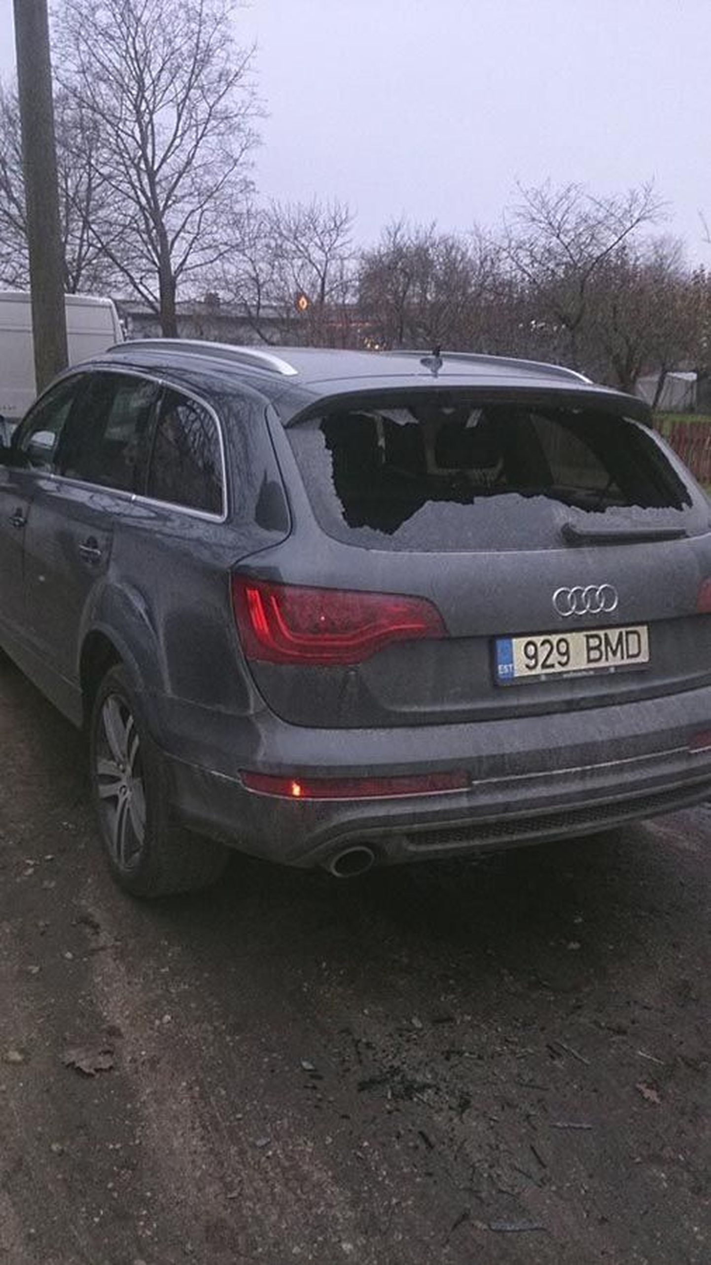 Audi sai huligaani rünnakus mitmesuguseid vigastusi.