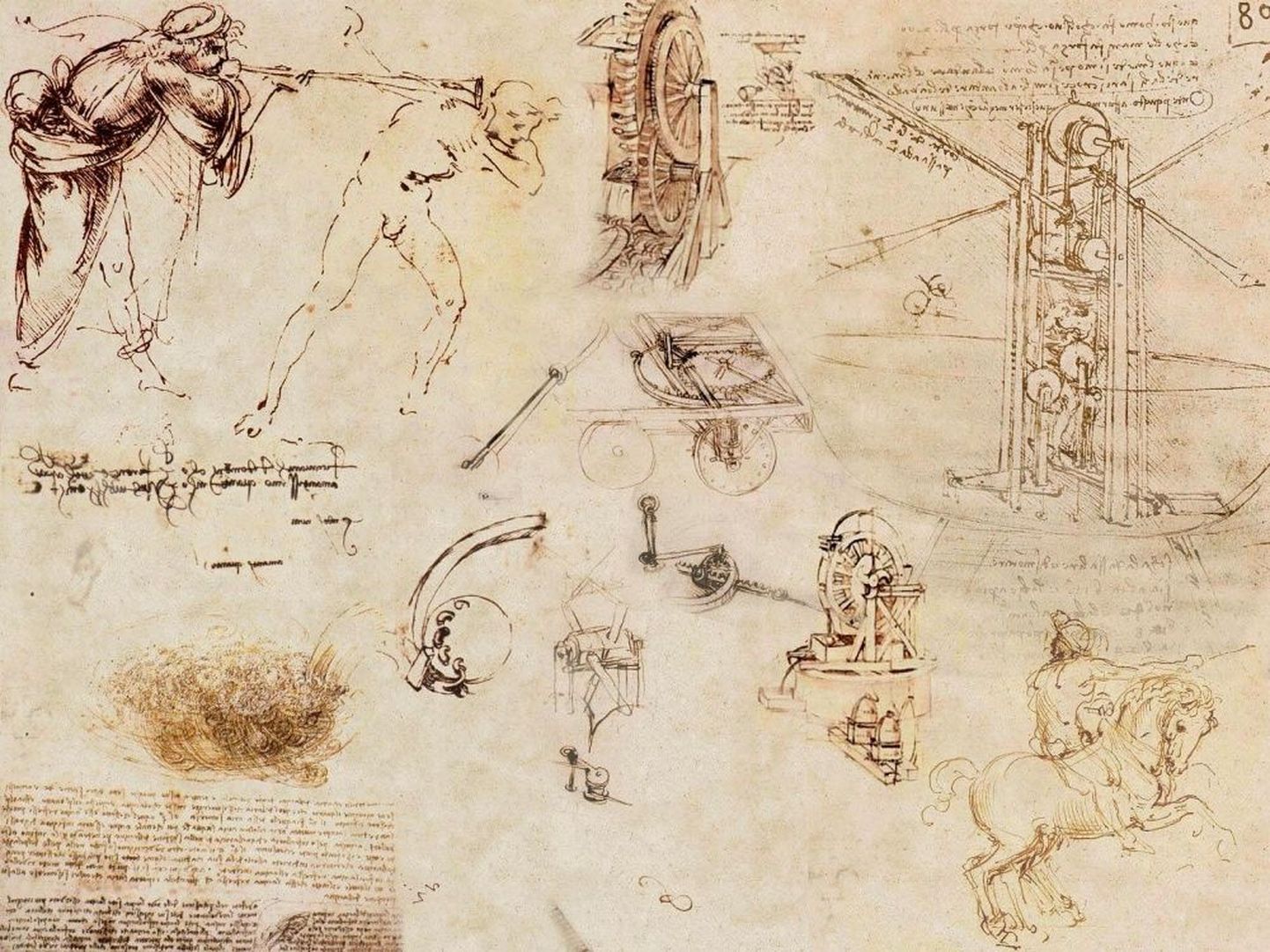 Leonardo da Vinci sketš.