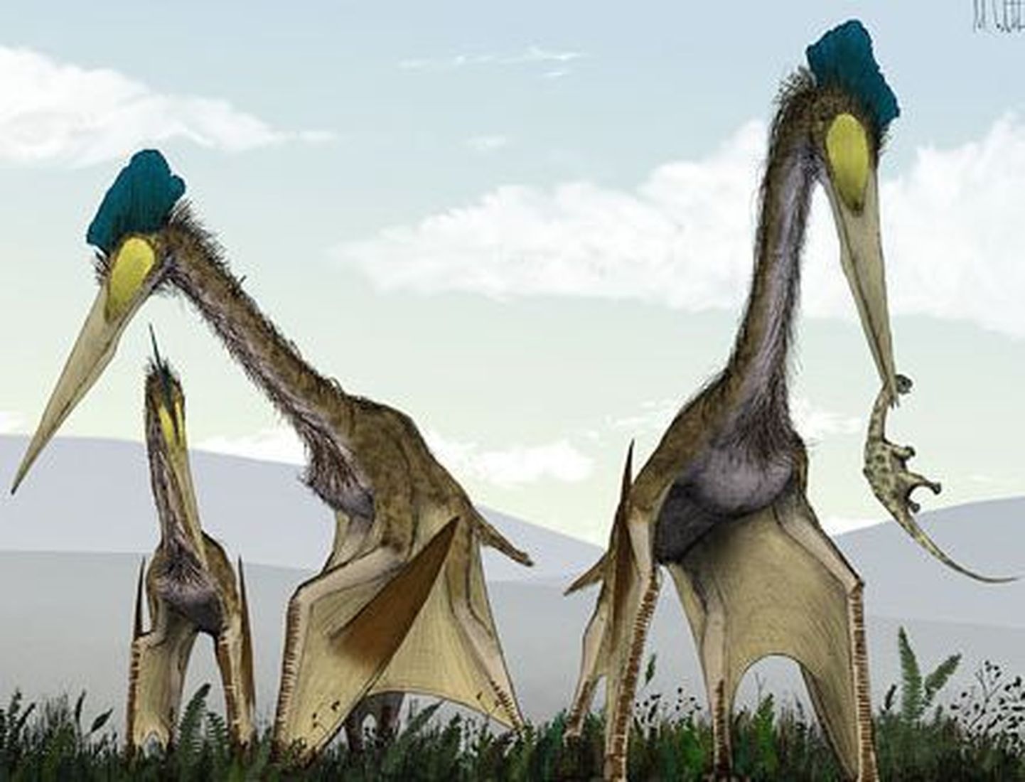 Kunstniku nägemus pterosaurustest