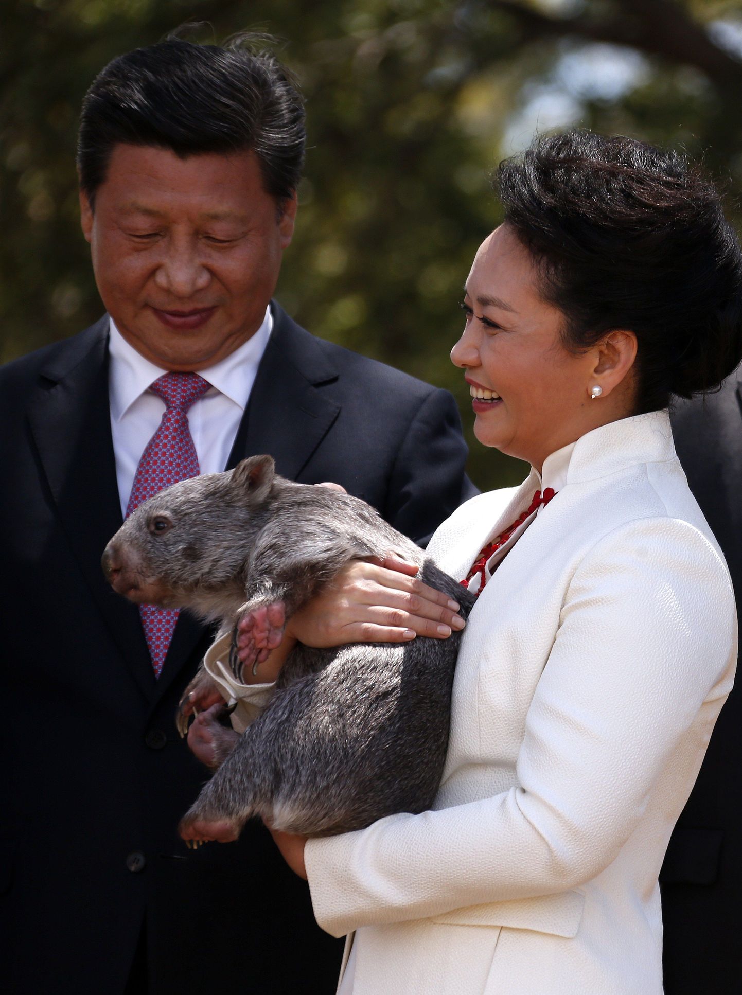 Hiina president Xi Jinping koos vombatit süles hoidva abikaasa Peng Liyuaniga Canberras 17. novembril.