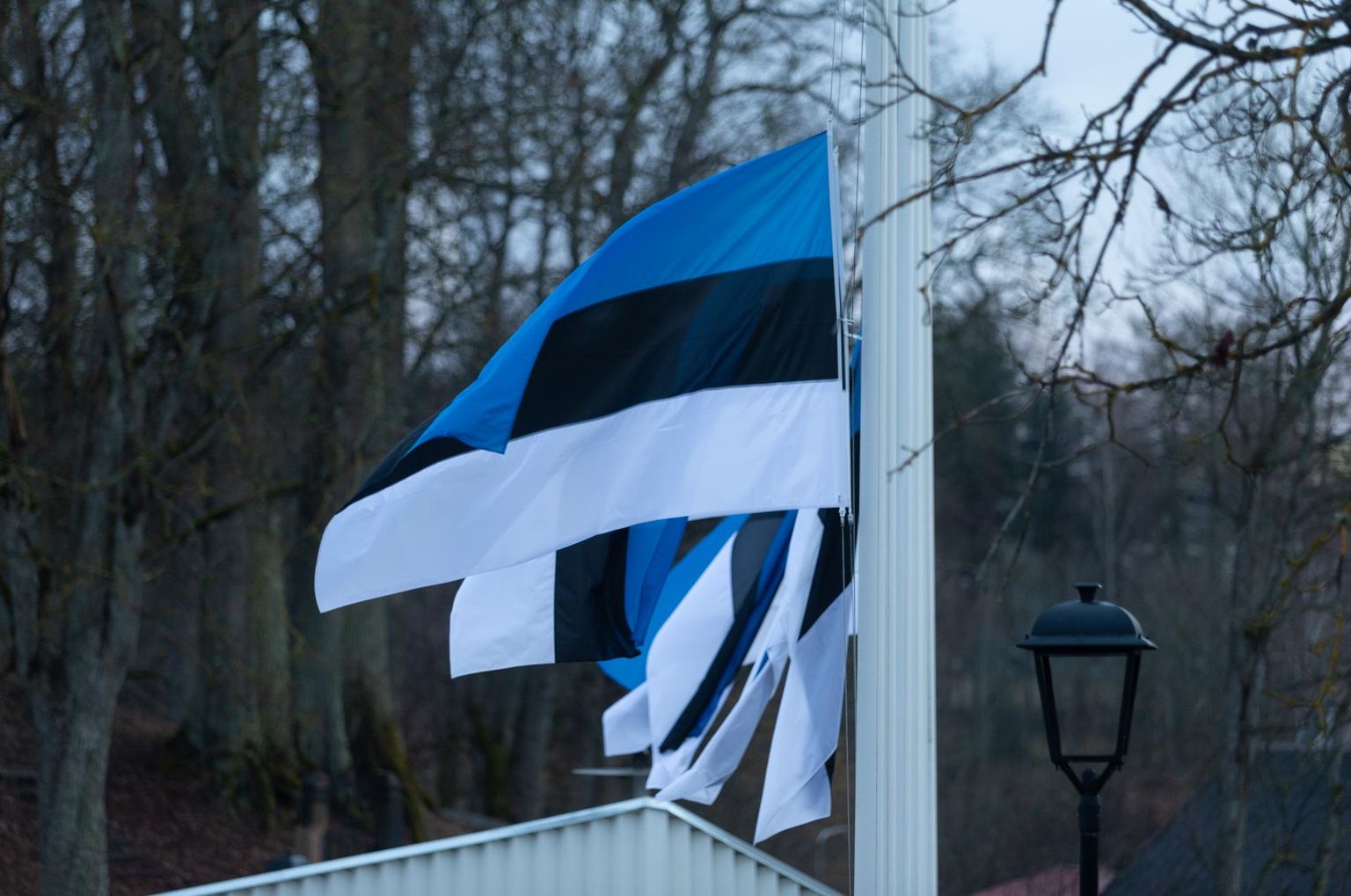 Märtsiküüditamise aastapäeval võiks heisata sinimustvalged leinalipuna.