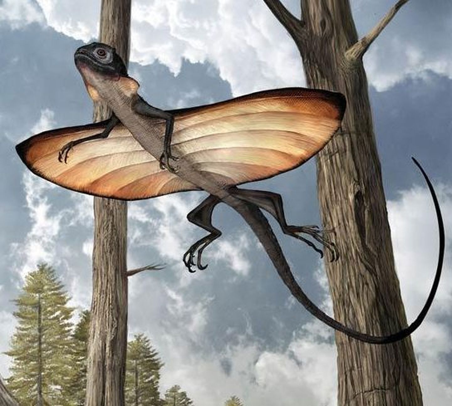 Paleontoloogid uurisid maailma esimese «linnu» kuehneosauruse lennuvõimet