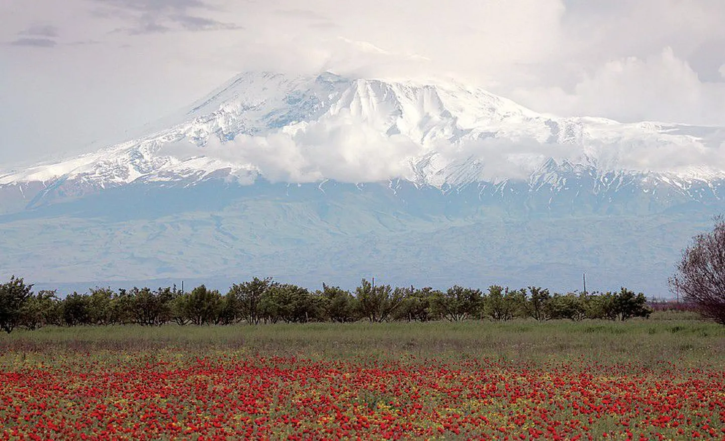 Горой Арарат, которую армяне считают символом своей страны, они могут любоваться только издалека — она находится на территории Турции.