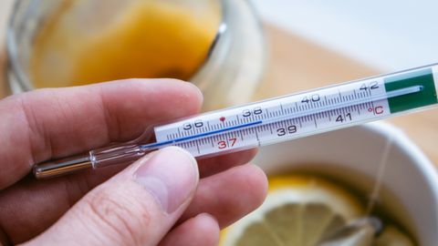 Фото: rus.postimees.ee