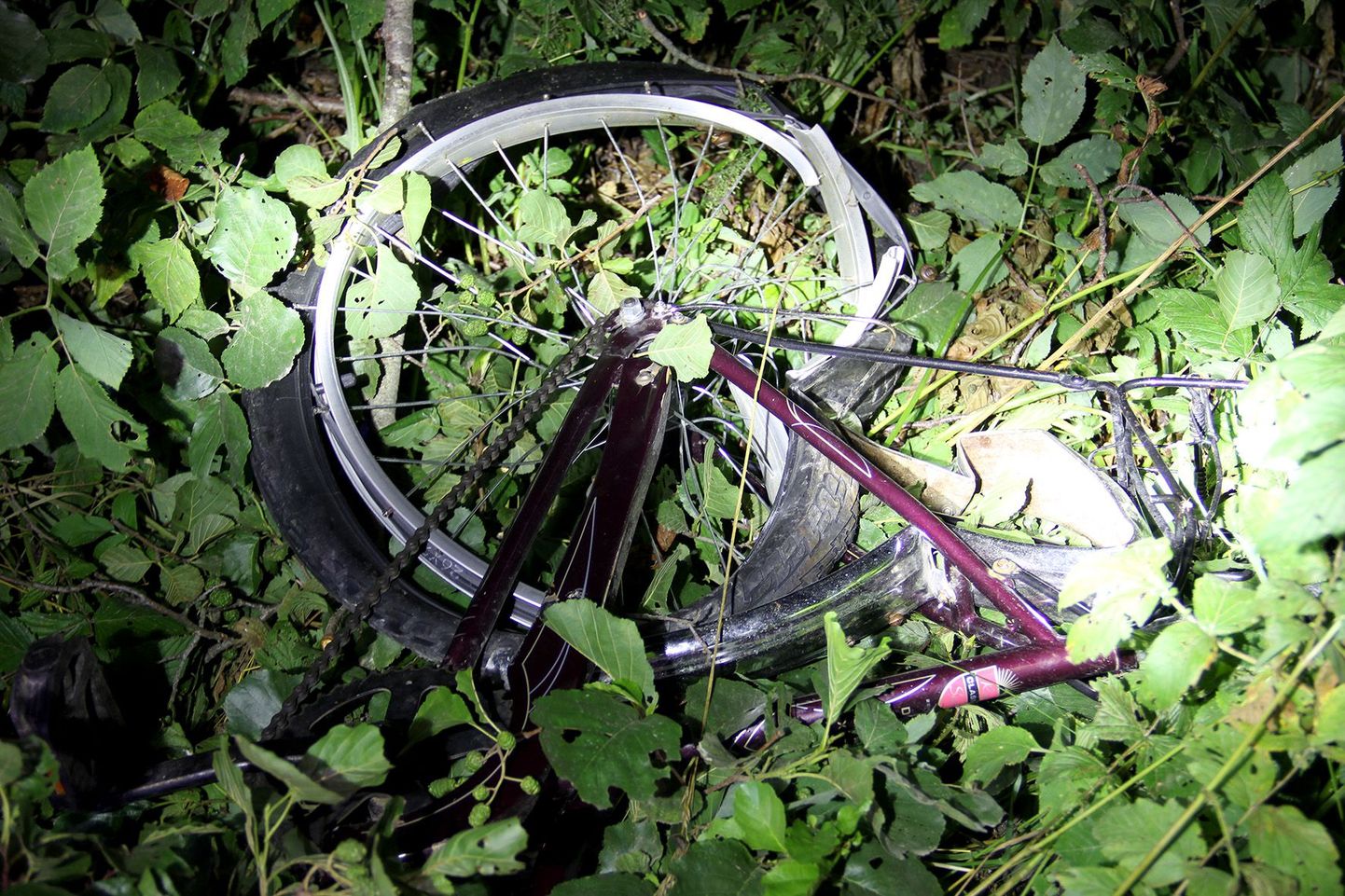 Pärnumaal Tõstamaa vallas sõitis laupäeva õhtul auto otsa jalgrattaga sõitnud tüdrukule, kes hukkus sündmuskohal, sõiduki juht põgenes.
