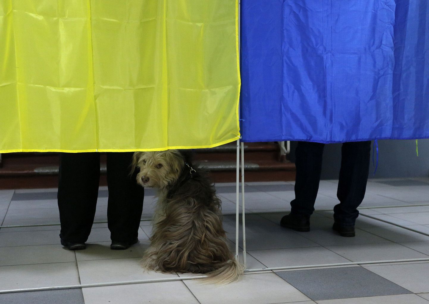 Valimised Ukrainas 25. oktoobril