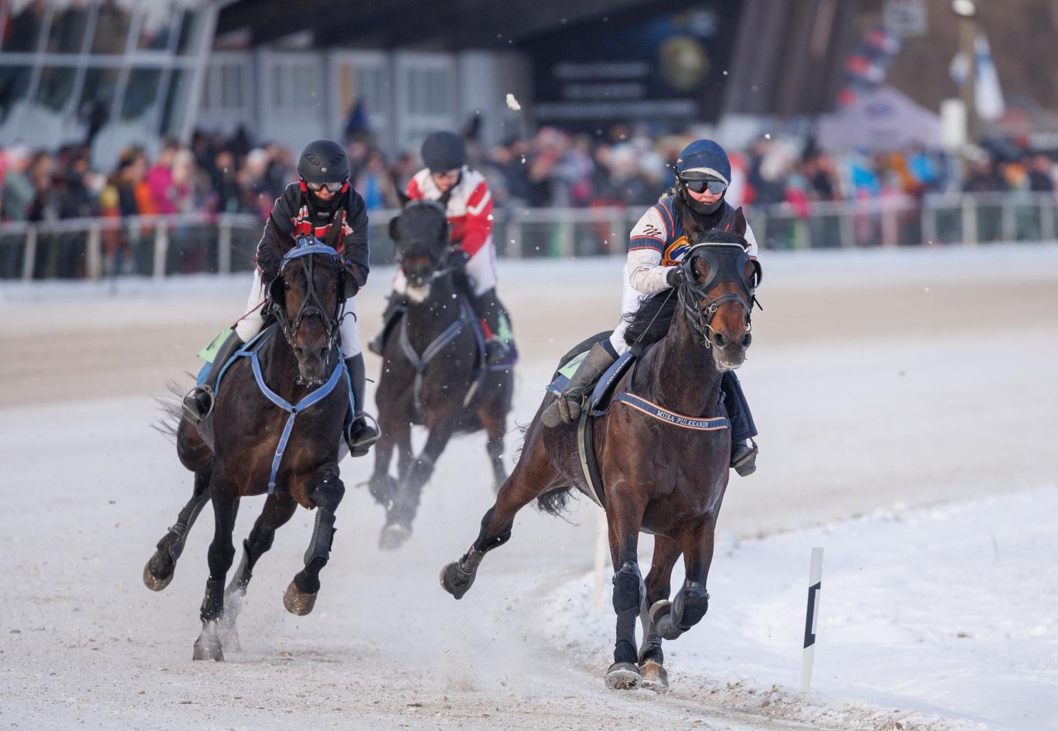 Viimased traavivõistlused Tallinna hipodroomil.