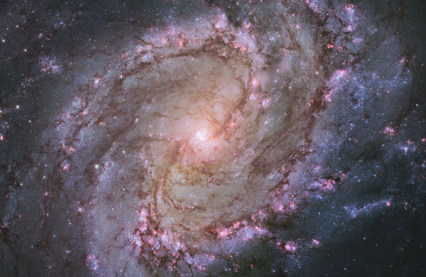 Spiraalgalaktika M83, Hubble´i kosmoseteleskoop