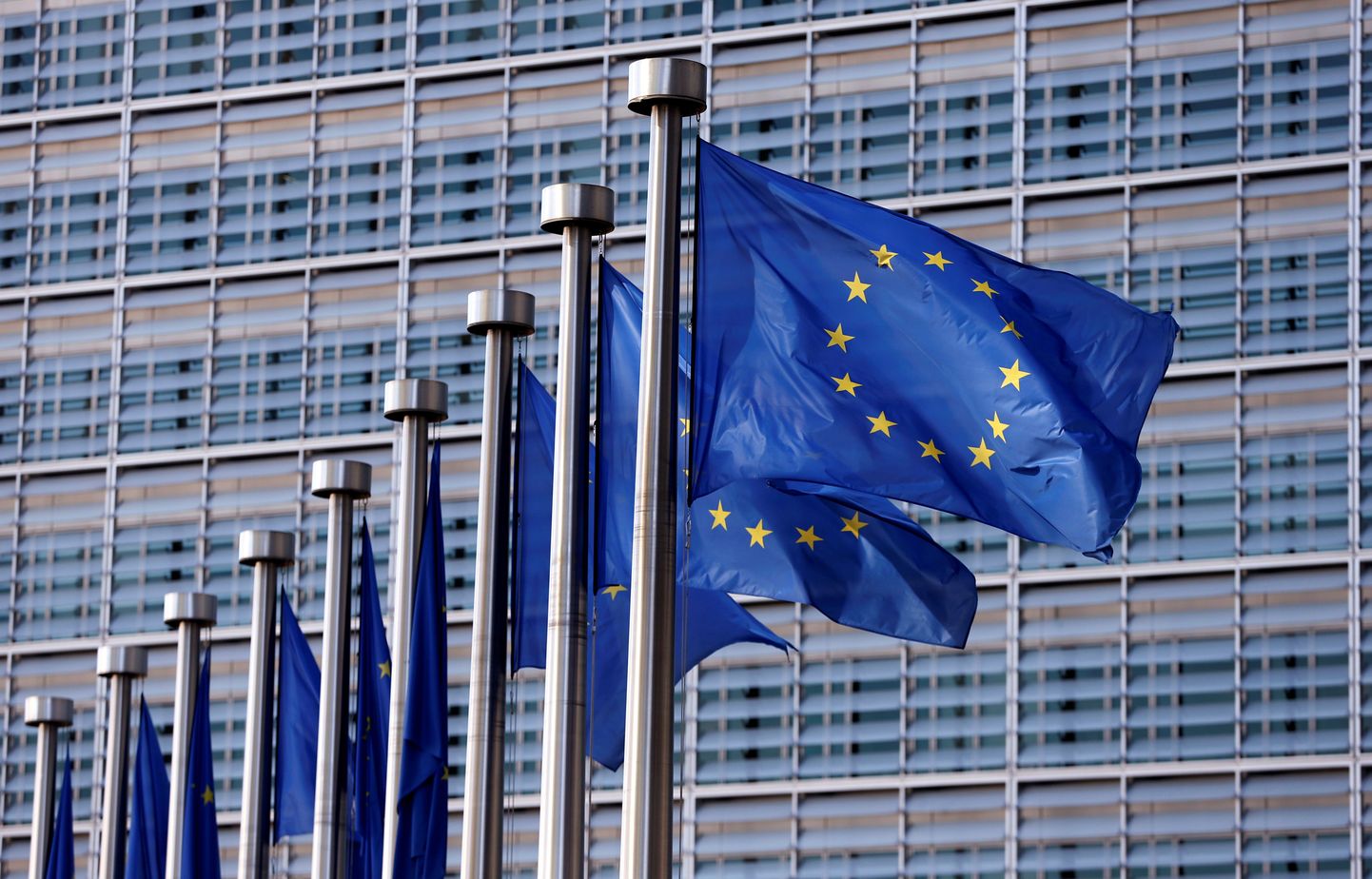 EL lipud Euroopa Komisjoni maja ees
