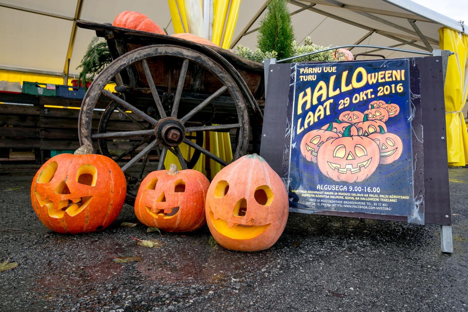 Maitsvat kõrvitsat meile võõrale halloweenile raisata on kurjast. Kõrvits potti, purki ja ahju!
